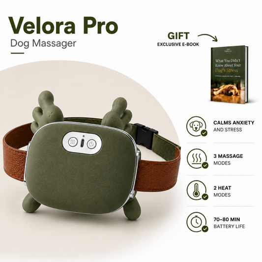 Velora™ Calming Massager: For Pets & People 🐶🤍